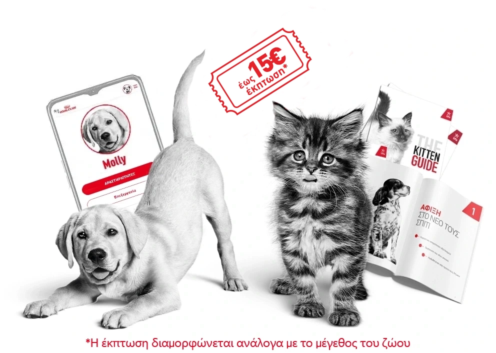 Royal Canin